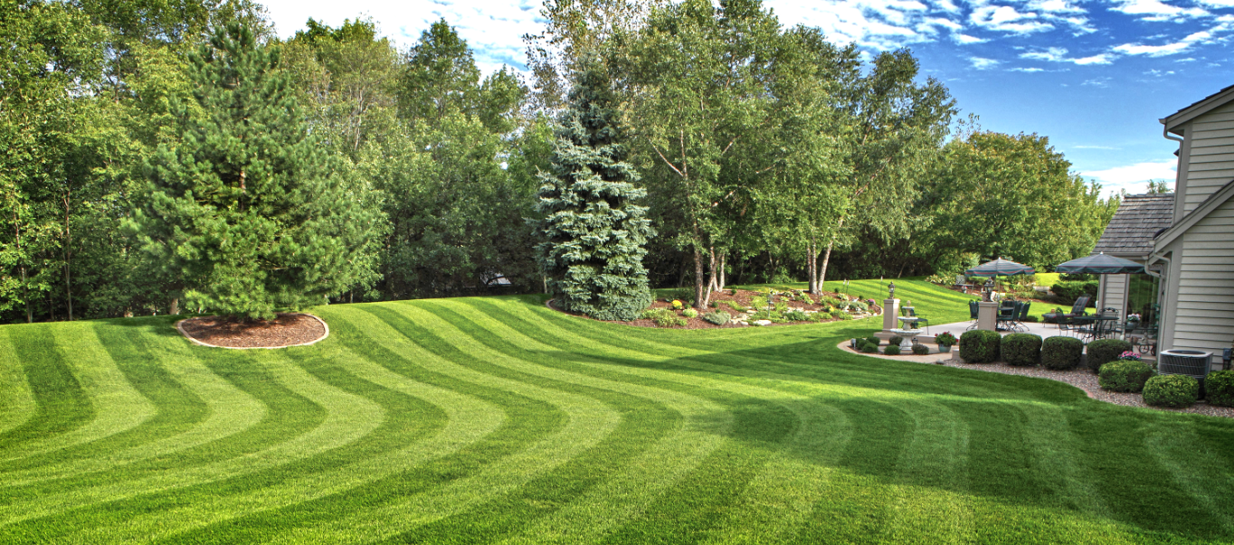 Landscaping Services For The Professional And Residential