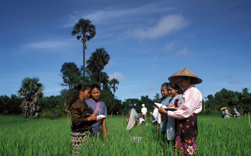 agricultural purchasing services